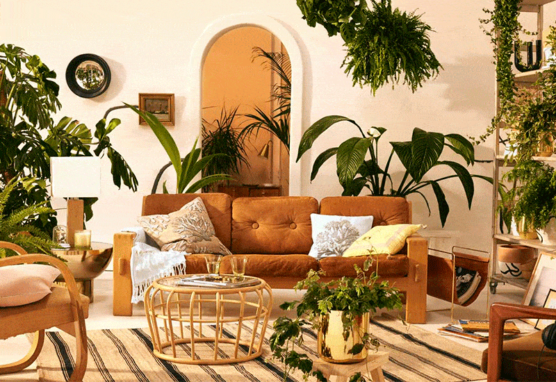 Decorating with Plants: Benefits and Styles
