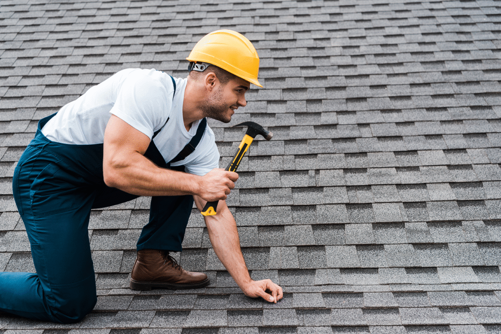 Roof Maintenance